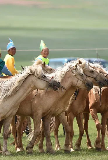 Mongolia Events and Festivals