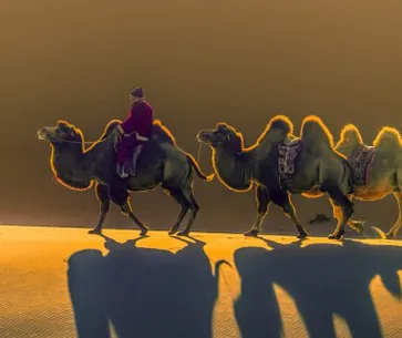 Gobi desert