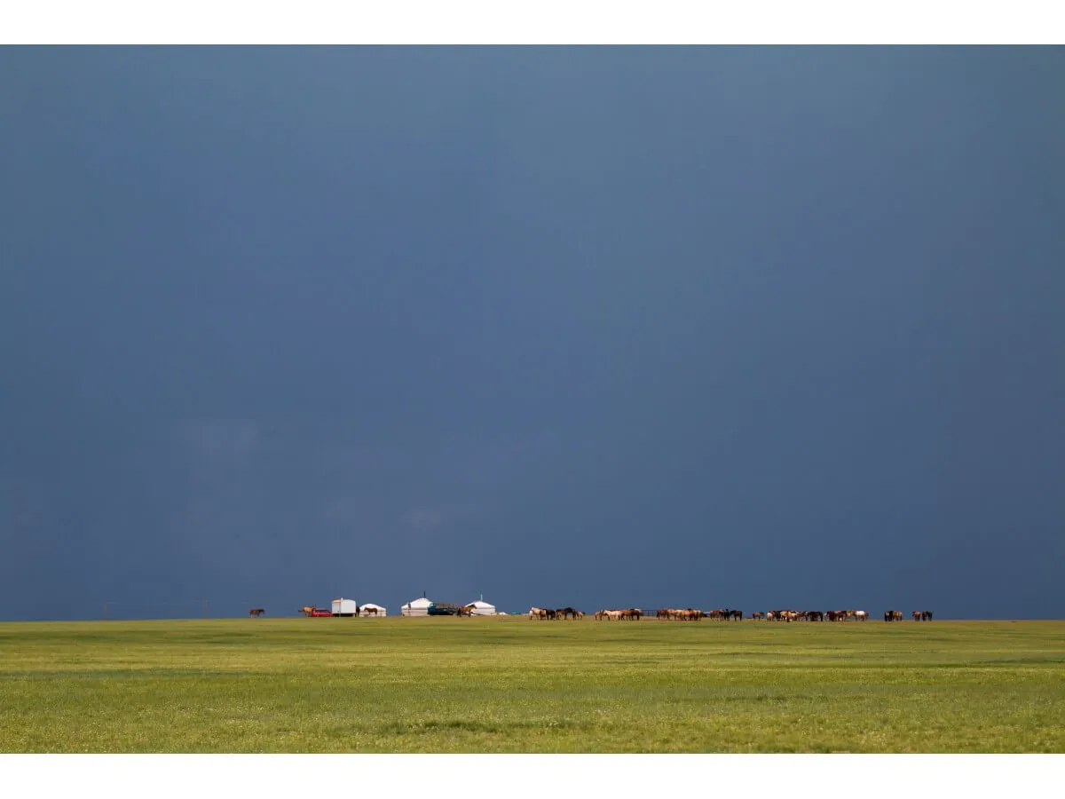 Mongolia summer