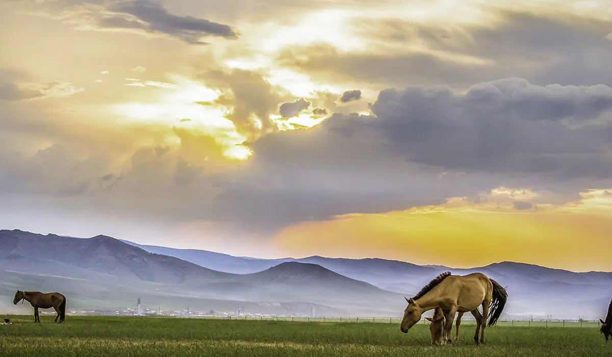Best Time to Travel to Mongolia (2025-2026)